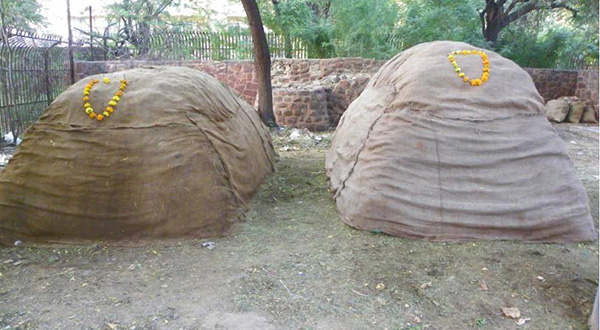 Two compost beds at Jodhpur Zoo