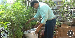 Composting begins at home